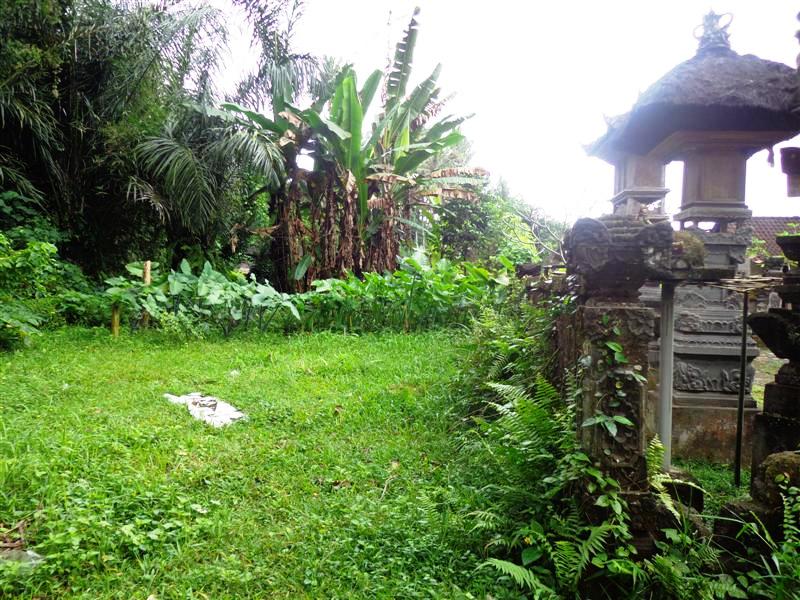 land for sale in ubud bali