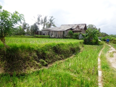 Land for sale in Ubud by Bali Real Property