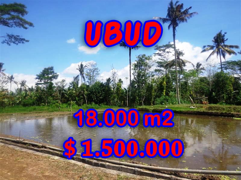 Land for sale in ubud