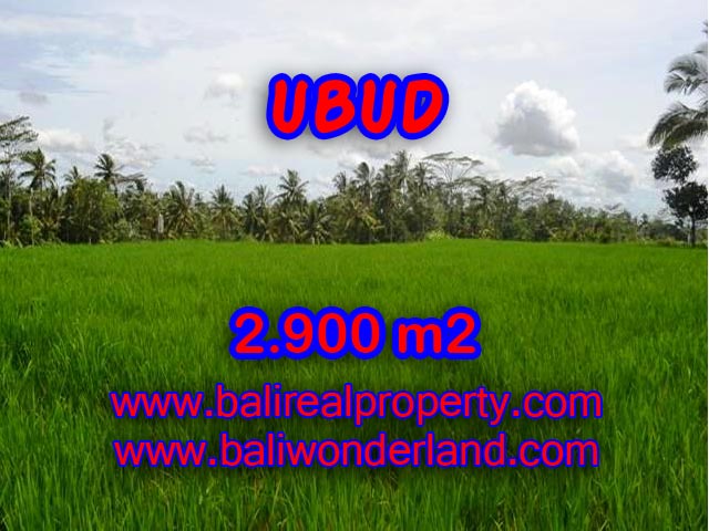 Fantastic Land for sale in Ubud Bali, rice field view in Ubud Payangan – TJUB356