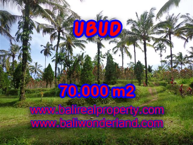 Land for sale in Ubud, Fantastic view in Ubud Payangan Bali – TJUB358