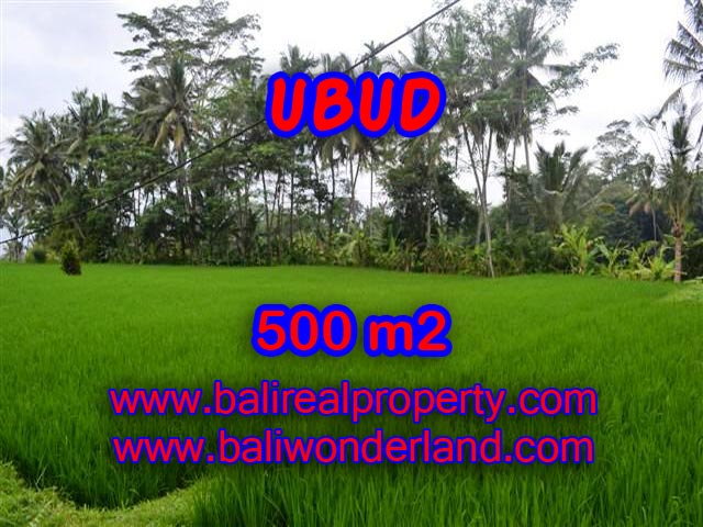Attractive Property for sale in Bali, land for sale in Ubud – TJUB364