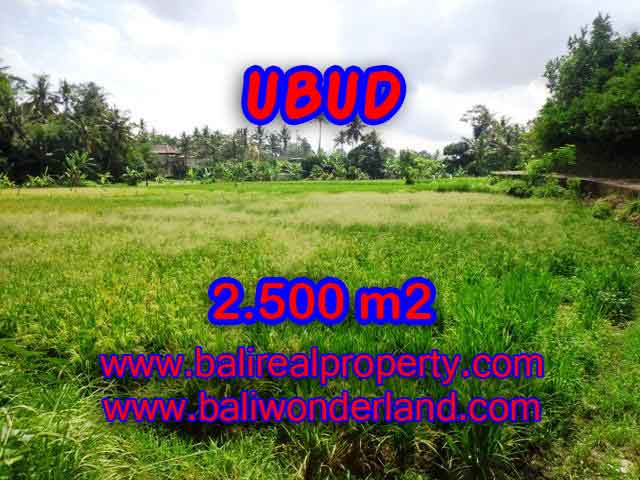 Property in Bali for sale, Astonishing land for sale in Ubud Bali – TJUB418