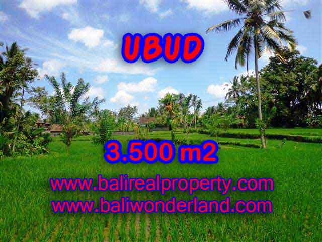 Land in Ubud Bali for sale, Outstanding view in Ubud Tegalalang – TJUB388