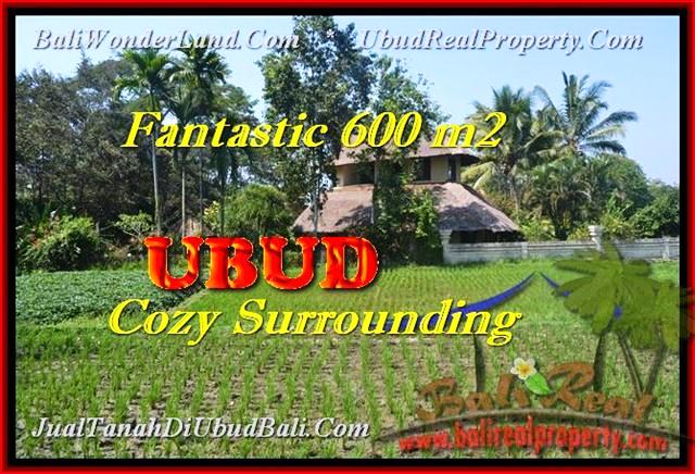 FOR SALE Exotic LAND IN UBUD TJUB452