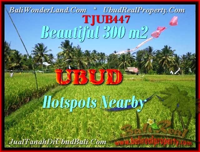 Magnificent PROPERTY Sentral Ubud BALI LAND FOR SALE TJUB447