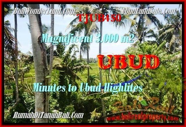 Exotic Sentral Ubud LAND FOR SALE TJUB450