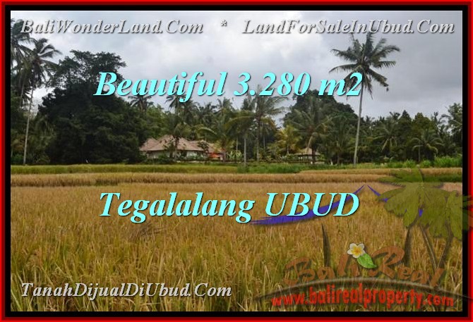 Exotic LAND SALE IN Ubud Tegalalang TJUB463