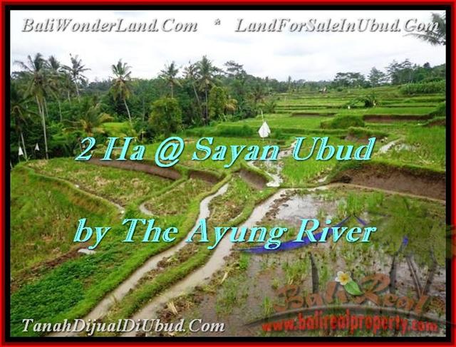 Magnificent PROPERTY LAND FOR SALE IN UBUD TJUB473