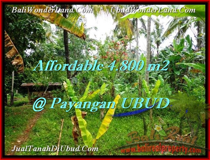LAND SALE IN Ubud Payangan TJUB486