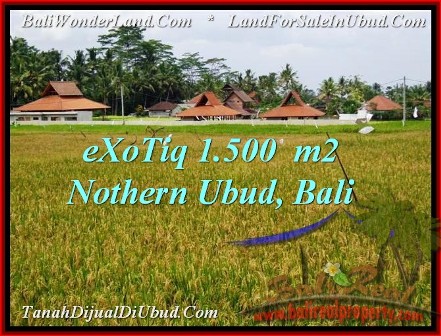 1,500 m2 LAND IN UBUD BALI FOR SALE TJUB488
