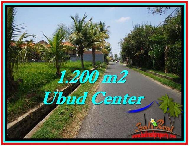 Exotic PROPERTY LAND FOR SALE IN UBUD TJUB525