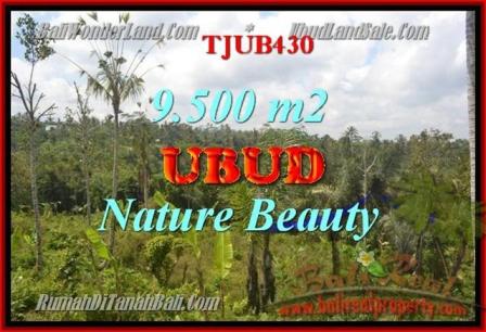 FOR SALE 9,500 m2 LAND IN UBUD TJUB430