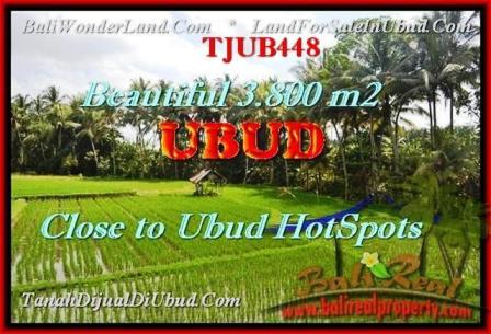 LAND FOR SALE IN Sentral Ubud BALI TJUB448