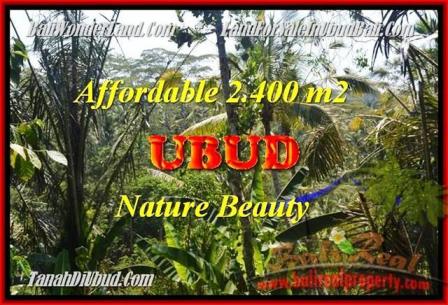 Affordable Ubud Pejeng LAND FOR SALE TJUB454
