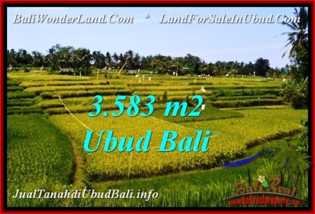 Exotic PROPERTY 3,583 m2 LAND FOR SALE IN Ubud Pejeng BALI TJUB542