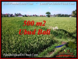 Magnificent PROPERTY LAND FOR SALE IN UBUD BALI TJUB545