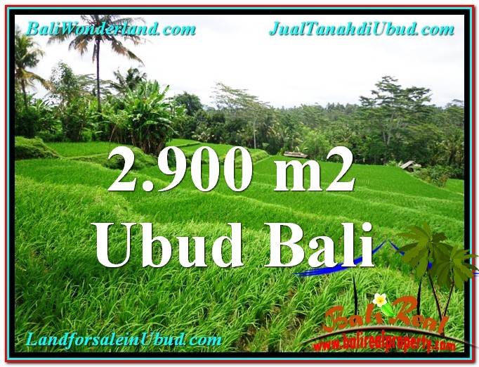 Beautiful 2,900 m2 LAND SALE IN UBUD BALI TJUB564
