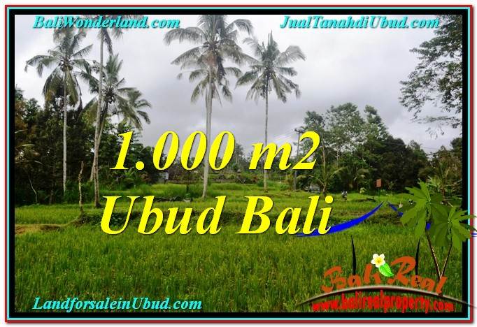 FOR SALE 1,000 m2 LAND IN UBUD TJUB570