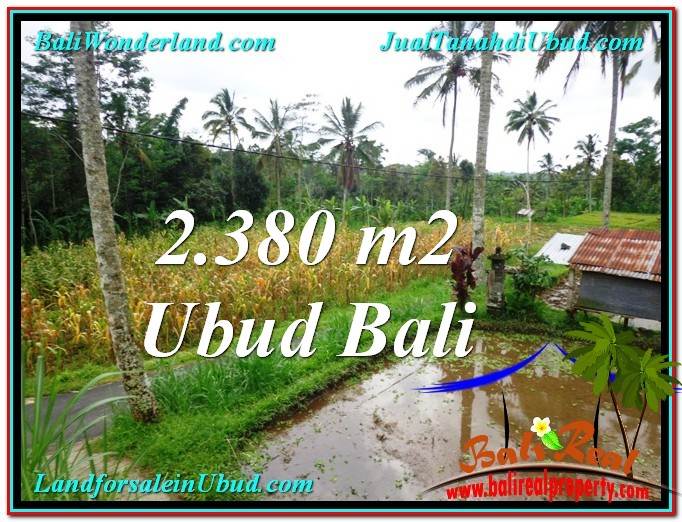 Beautiful PROPERTY 2,380 m2 LAND FOR SALE IN Ubud Payangan BALI TJUB567