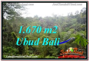 FOR SALE Magnificent PROPERTY 1,670 m2 LAND IN Ubud Payangan TJUB569