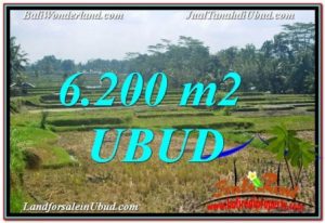 FOR SALE Magnificent PROPERTY 6,200 m2 LAND IN Ubud Payangan TJUB631