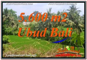 Exotic PROPERTY LAND IN UBUD FOR SALE TJUB636