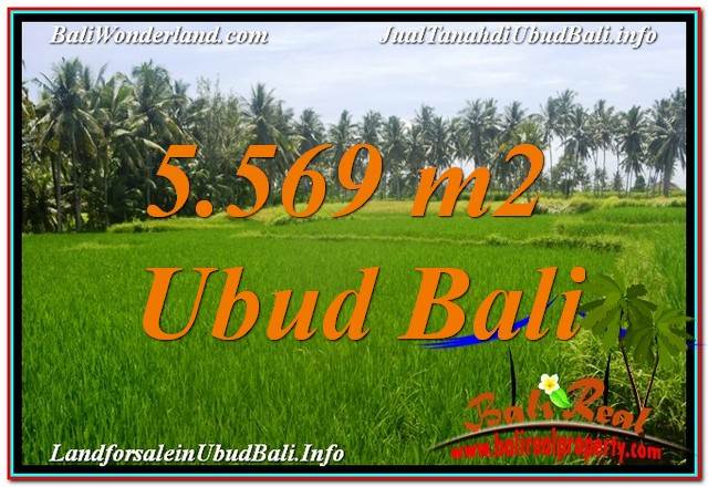 Sentral / Ubud Center BALI LAND FOR SALE TJUB642