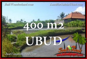 Exotic PROPERTY 400 m2 LAND FOR SALE IN Ubud Gianyar TJUB659