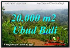 Affordable PROPERTY 20,000 m2 LAND IN UBUD PAYANGAN BALI FOR SALE TJUB678