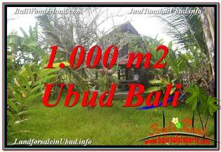 FOR SALE Magnificent PROPERTY 1,000 m2 LAND IN SENTRAL UBUD BALI TJUB680