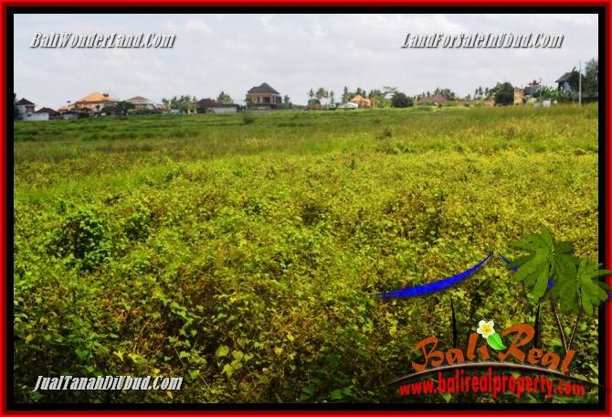 Affordable Property Land sale in Ubud TJUB685