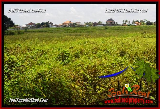 Affordable Property Land sale in Ubud TJUB685