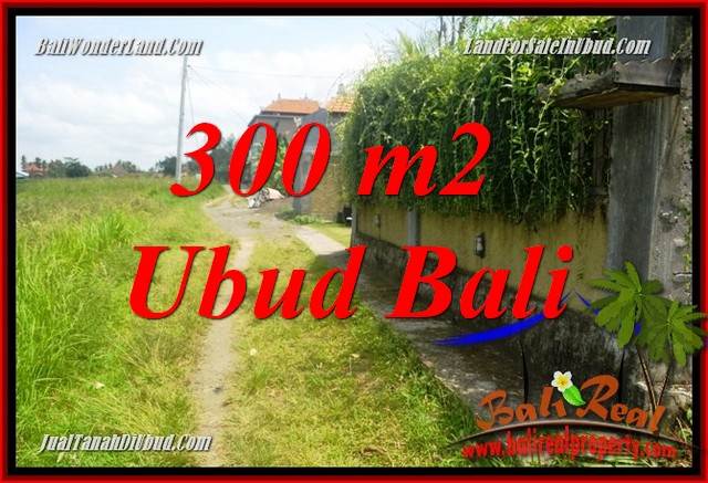 Affordable Property Land sale in Ubud TJUB687