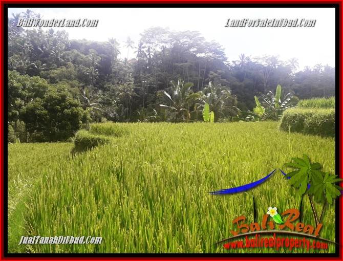 Exotic Land for sale in Ubud TJUB690