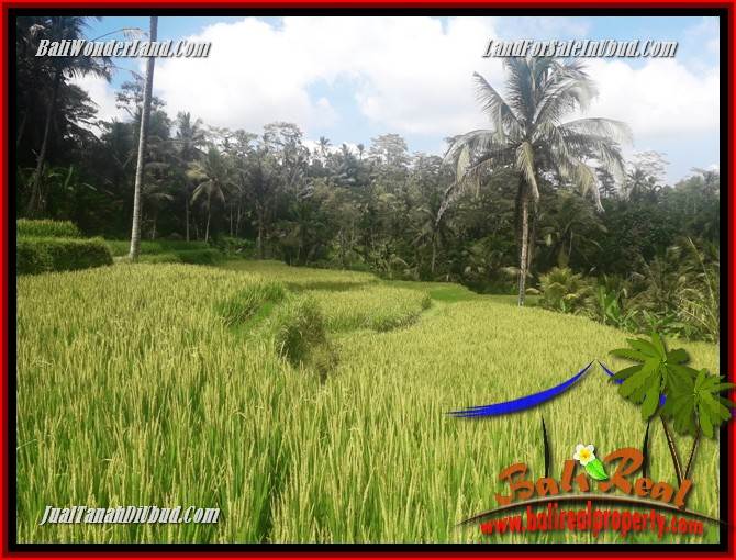 Exotic Land for sale in Ubud TJUB690