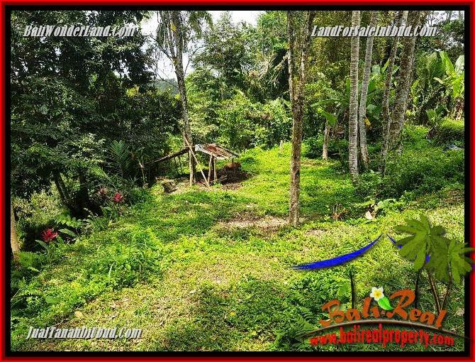 Beautiful Land sale in Ubud TJUB691