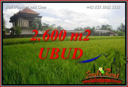 Beautiful Property 2,600 m2 Land sale in Ubud Pejeng TJUB701