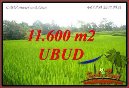 Magnificent Property 11,600 m2 Land sale in Ubud Tegalalang TJUB732