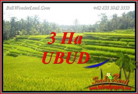 Affordable Ubud Land for sale TJUB733