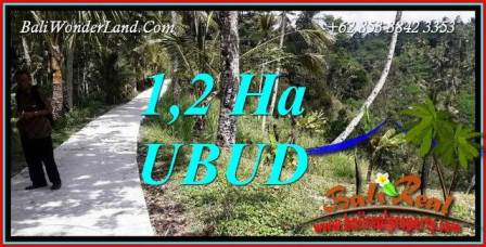 Exotic Property Land for sale in Ubud Bali TJUB740