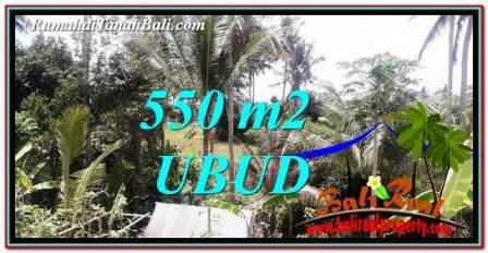 Magnificent Ubud Pejeng 550 m2 LAND FOR SALE TJUB751