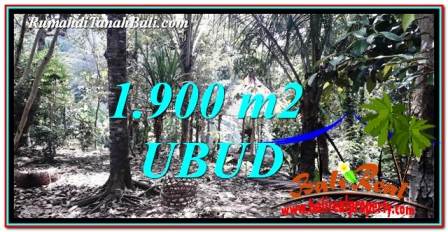 FOR SALE Magnificent PROPERTY LAND IN UBUD TJUB755