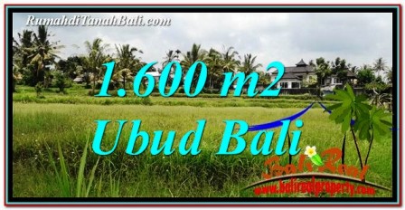 UBUD BALI 1,600 m2 LAND FOR SALE TJUB756