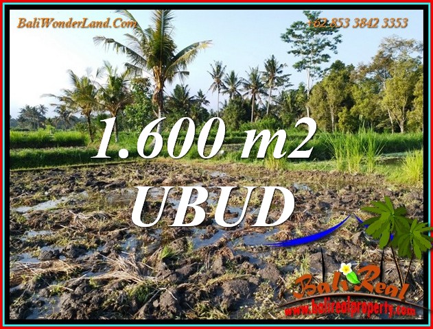 Exotic LAND in UBUD BALI for SALE TJUB807