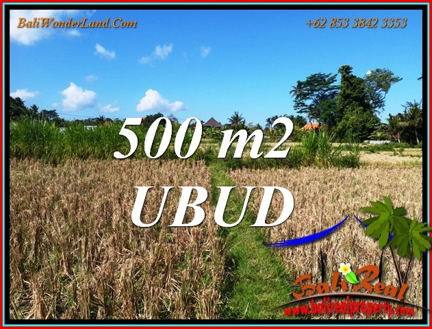 Affordable LAND in UBUD BALI for SALE TJUB810