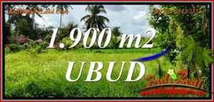 Affordable UBUD BALI LAND for SALE TJUB811
