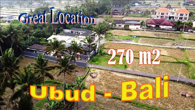 FOR SALE Magnificent PROPERTY LAND in Ubud Pejeng TJUB849