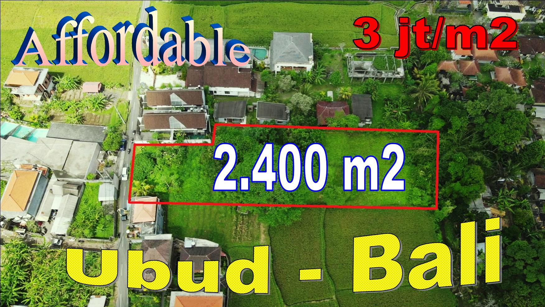 Beautiful PROPERTY UBUD 2,400 m2 LAND for SALE TJUB845