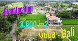 Magnificent 3,600 m2 LAND in Sukawati Ubud BALI for SALE TJUB836